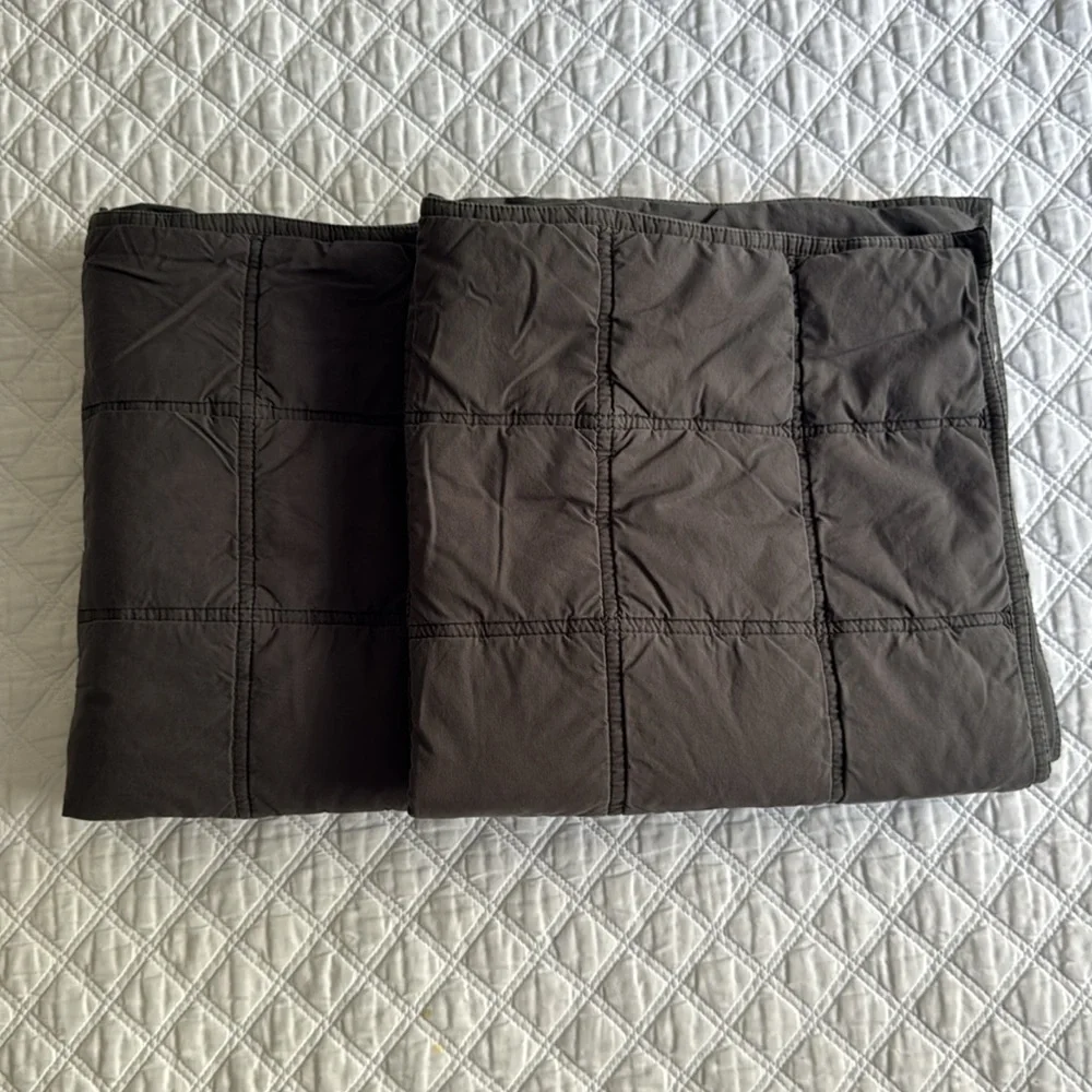 West Elm Pillow Euro Shams